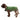 Country Quilted Plaid Green Coat - Warm Dog Coat