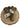 Premium Ostrich Tibia Bone Large