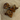 Premium Ostrich Knuckle Bone Small
